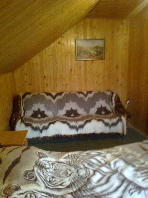 U Pana Ivana Yaremche Room photo